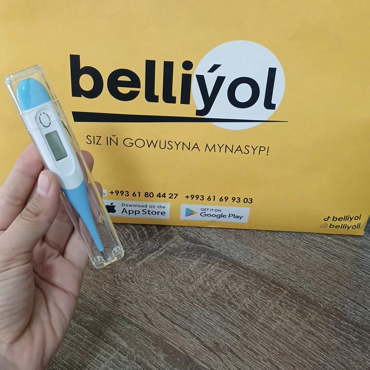 Gök elektron çaga termometri — 2