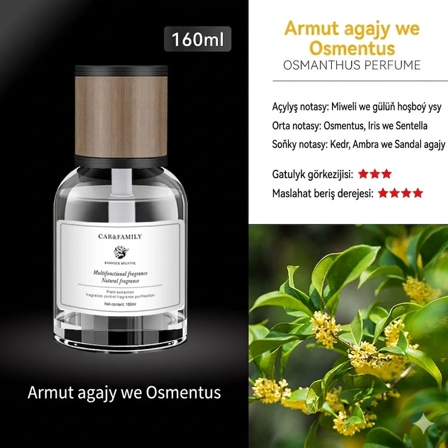 Maşyn we öý üçin ys beriji, 160 ml