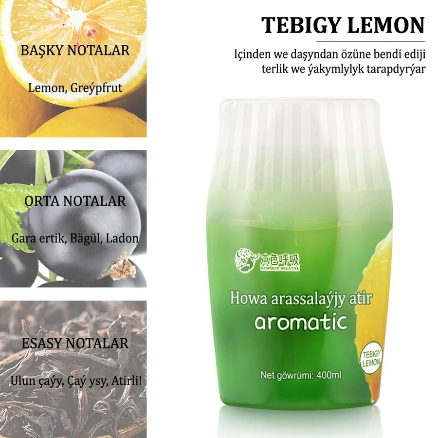 Öý üçin ys beriji, 400 ml