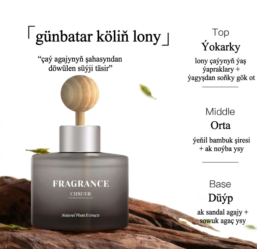 Öý üçin ys beriji diffuzor (120 ml)