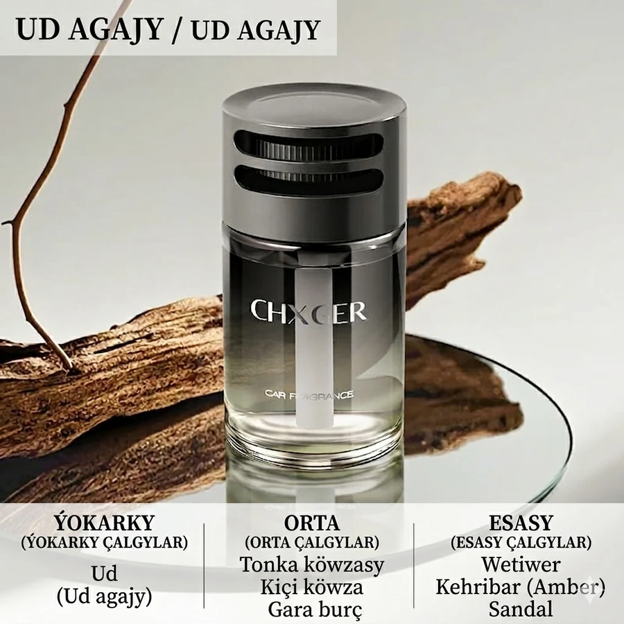 Öý we awtoulag üçin ys beriji (160 ml)